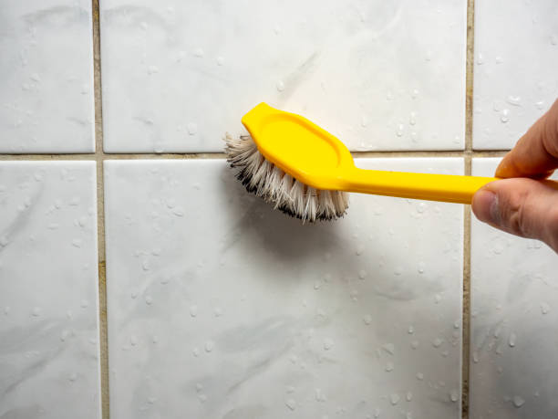 Best Office Mold Removal Services  in Canby, MN
