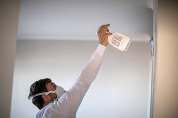 Best Emergency Mold Removal  in Canby, MN
