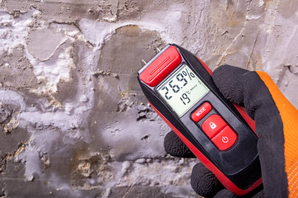 Best Office Mold Removal Services  in Canby, MN